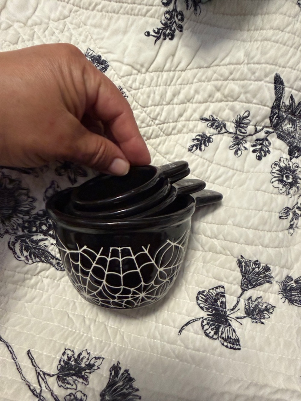 The bake shop spiderwebs spiders measuring cups
